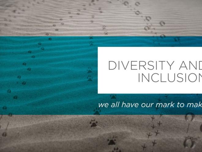 Diversity and Inclusion  Diversity and Inclusion