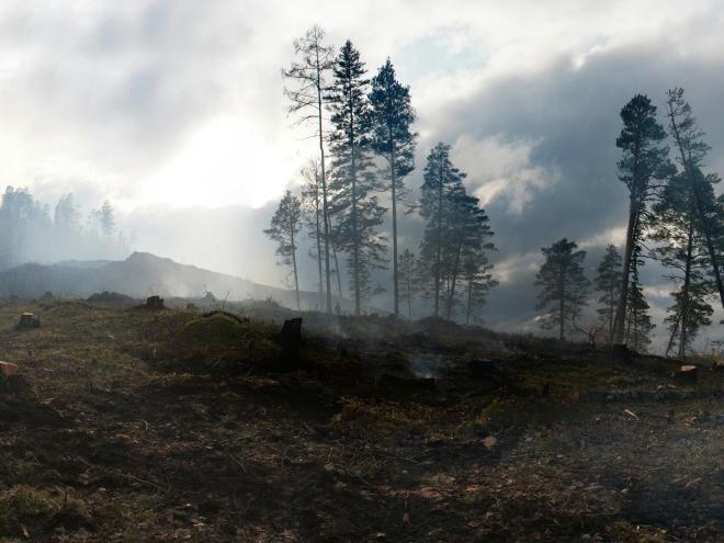 climate_change_wildfire_smoke.jpg climate_change_wildfire_smoke.jpg