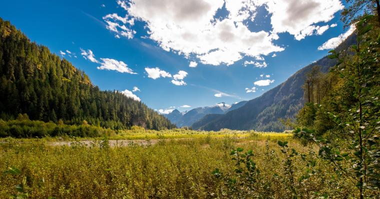 Heat Warning: How To Stay Safe And Beat The Heat | Doctors Of BC